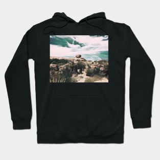 Desert Nature Scenery Hoodie